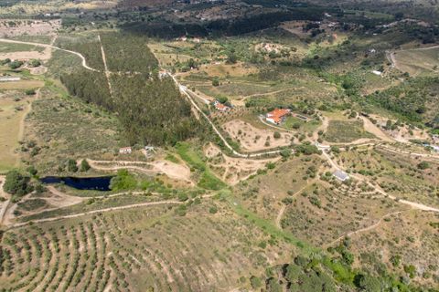 Finca i Avis, Portalegre, Avis - € 750.000 | Ref: 120121142213-73 - foto 47